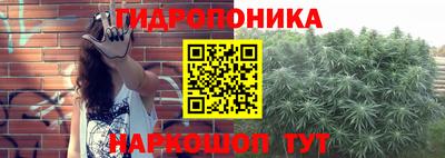 ECSTASY Заводоуковск