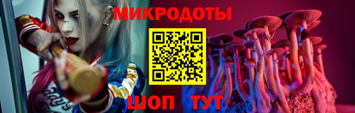 Галлюциногенные грибы GOLDEN TEACHER  Вход с VPN  Кулебаки 